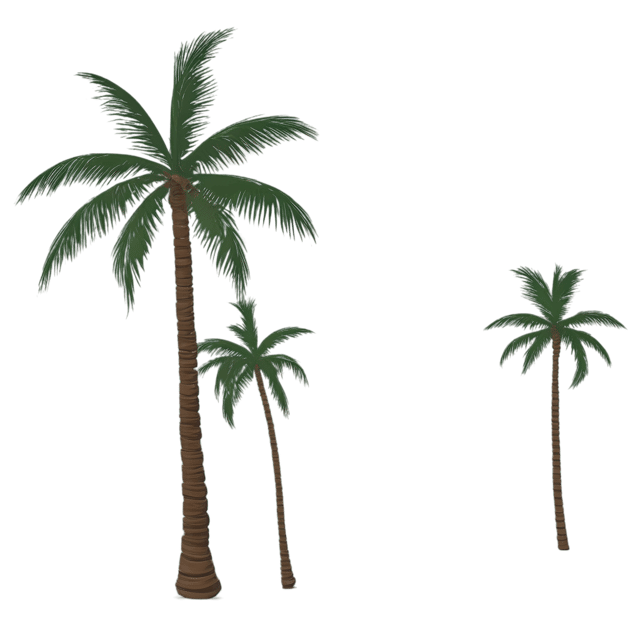 Free transparent PNG: Cool Breeze Through Palm Trees Transparent PNG Background for Tropical and Relaxing Imagery
