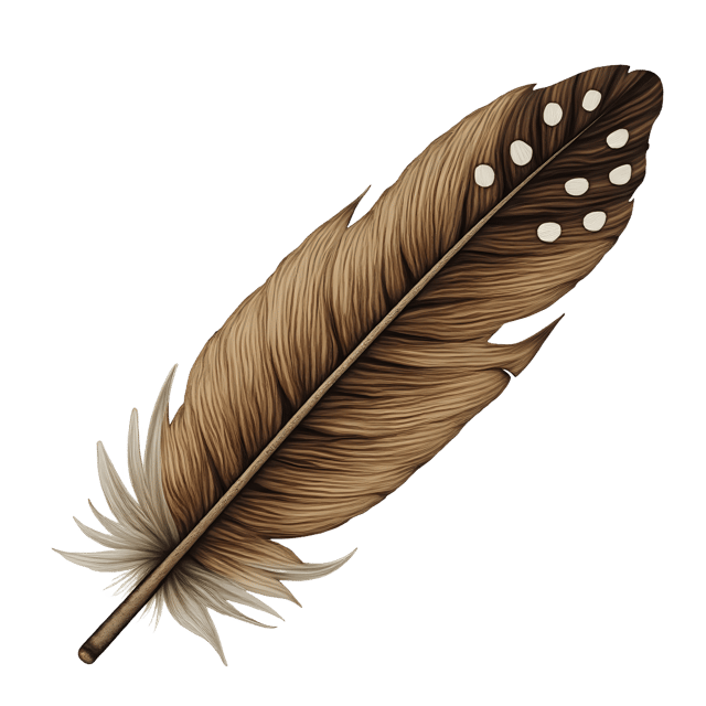 Free transparent PNG: Owl Feather  Elegant Detail Clipart, free png download