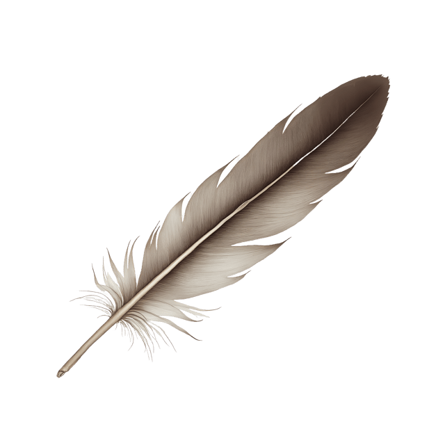 Free transparent PNG: Delicate Feather Tip  Free Downloadable PNG Clipart with Shadow