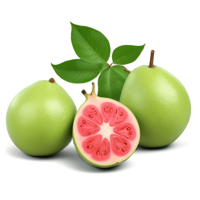 Free transparent PNG: Guava PNG with Transparent Background for Digital Design and Crafting