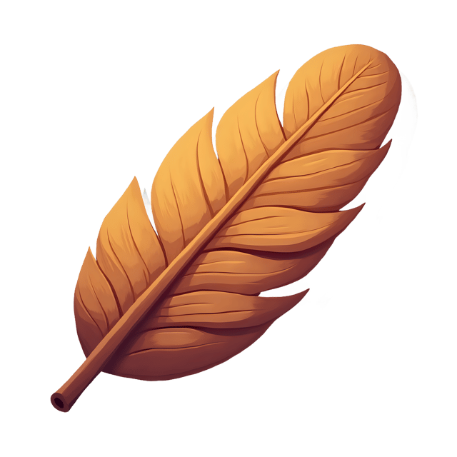 Free transparent PNG: Owl Feather Detail  Nature Clipart, free transparent png download