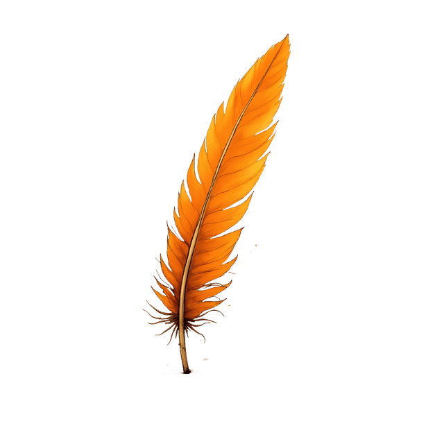 Free transparent PNG: Long Quill Feather Under Warm Lamp  Free PNG Download