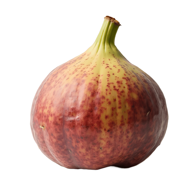 Free transparent PNG: Fig PNG Clipart  Perfect for Food, Art, and Educational Use