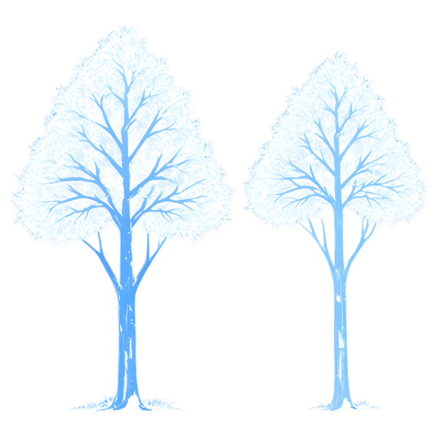 Free transparent PNG: Glistening Ice Crystals on Trees Transparent Background PNG
