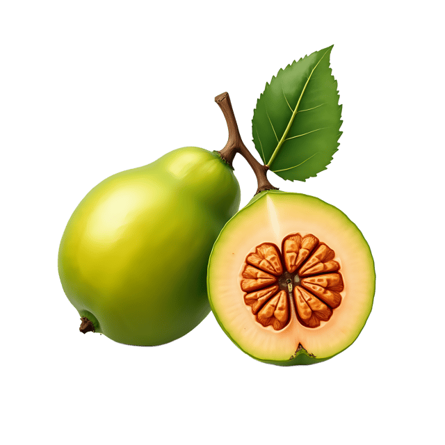 Free transparent PNG: Guava PNG Clipart  Ideal for Tropical Themes, Crafts  Education
