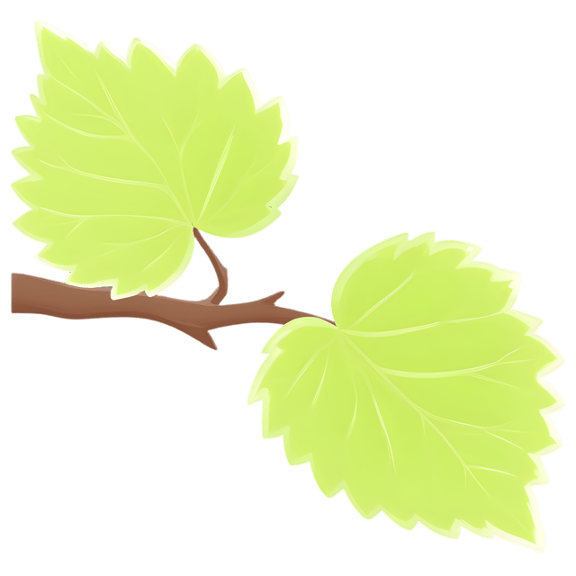 Free transparent PNG: Green Leaf PNG Transparent Background Nature Image