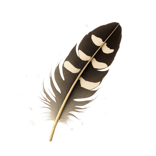 Free transparent PNG: Speckled Wing Feather and Scattered Seeds  Nature Clipart, free transparent png download