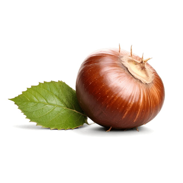 Free transparent PNG: Chestnut Color Splash PNG with Transparent Background