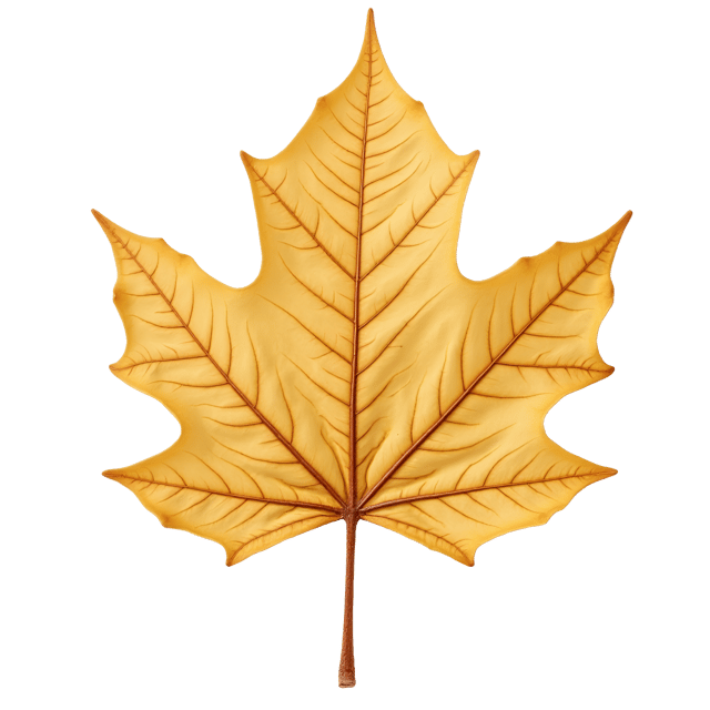 Free transparent PNG: Pale Yellow Dry Leaf with Soft Brown Undertones - Realistic Illustration