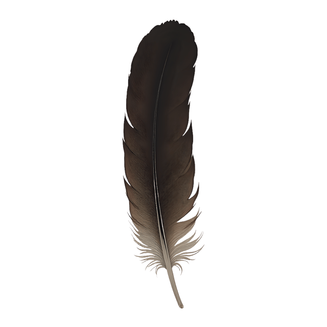 Free transparent PNG: Long Quill Feather with Dark Stain  Ornament Clipart, free transparent png download