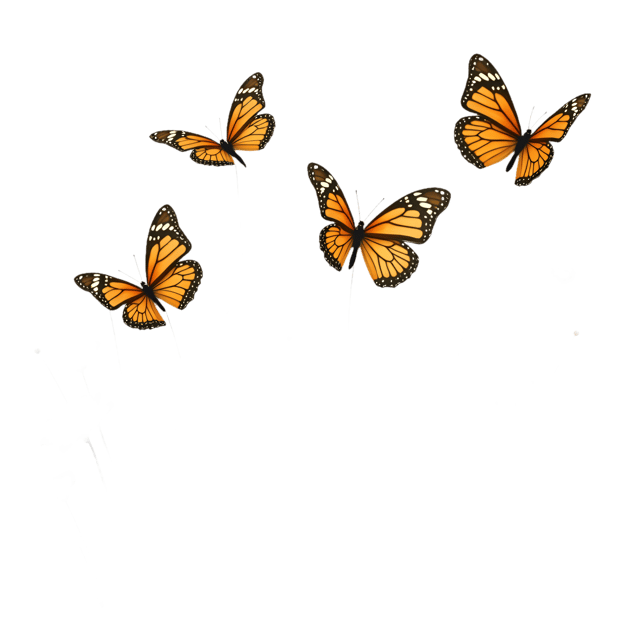 Free transparent PNG: Spring Meadow Arrangement  Free Nature Clipart PNG Download