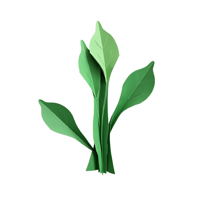 Free transparent PNG: Scallion PNG Clipart  Perfect for Kitchen Designs, Recipe Blogs  Decor