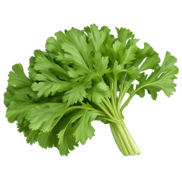 Free transparent PNG: Parsley Herb PNG with Transparent Background for Culinary and Decorative Use