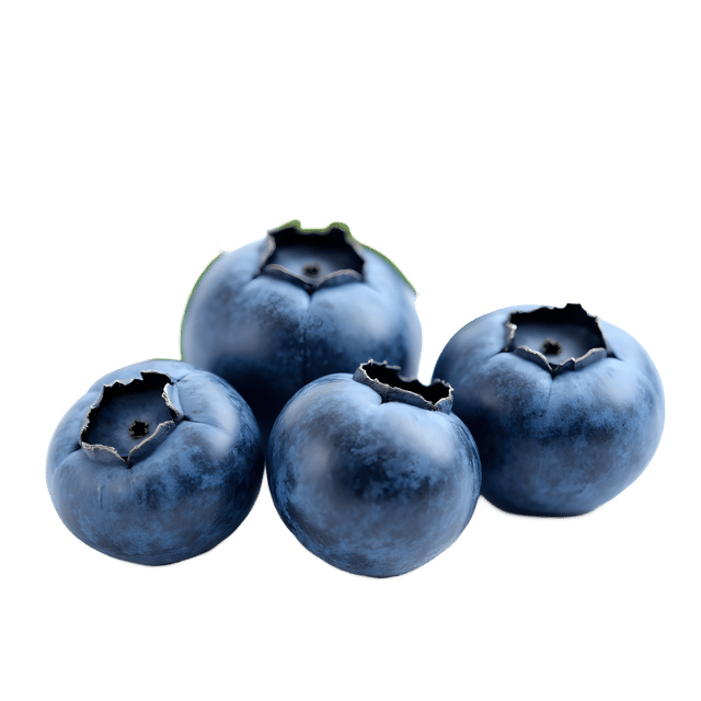 Free transparent PNG: Blueberry PNG Clipart  Ideal for Food Projects, Crafts  Education