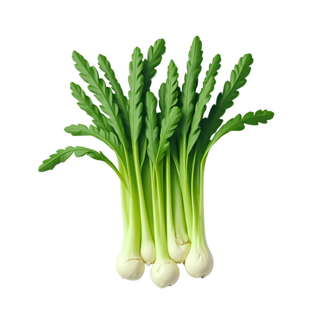 Free transparent PNG: Scallion PNG Clipart  Ideal for Kitchen Designs, Recipes  Decor