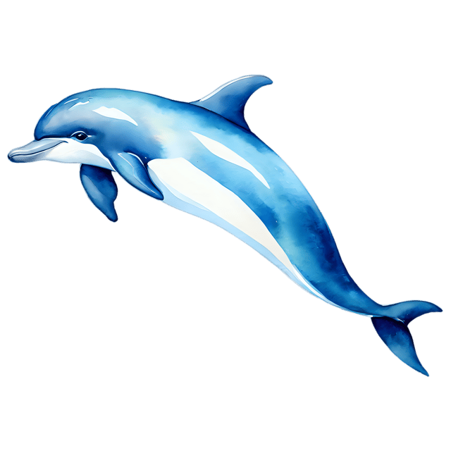 Free transparent PNG: Dolphin Watercolor Illustration – Transparent PNG for Designers & Artists