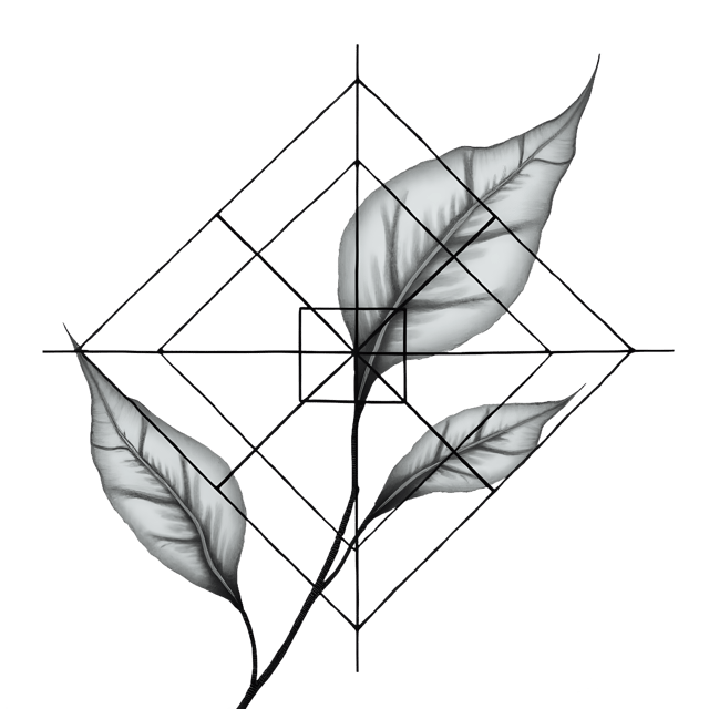 Free transparent PNG: Sleek Geometric Designs in Monochrome PNG