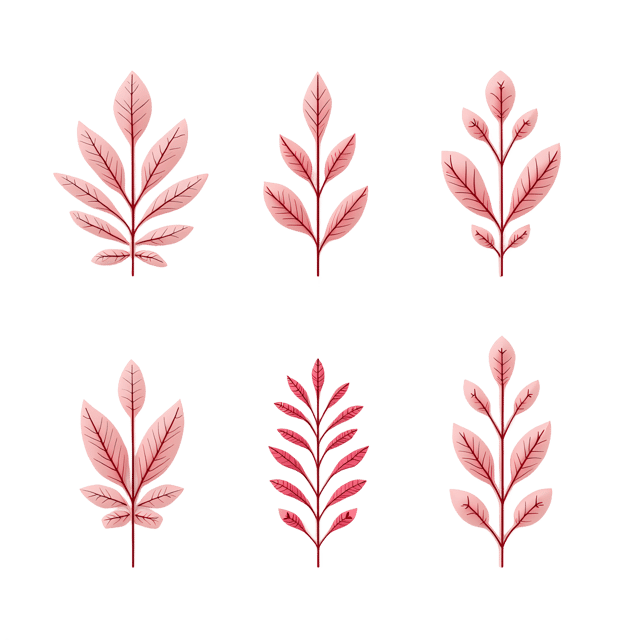 Free transparent PNG: Delicate Symmetrical Motifs PNG for Craft Projects with Transparent Background