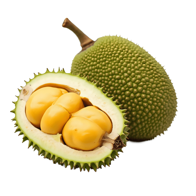 Free transparent PNG: Durian PNG Clipart  Perfect for Tropical Fruit Designs, Crafts  Decor