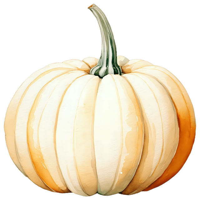 Free transparent PNG: White Pumpkin Watercolor Illustration – Transparent PNG