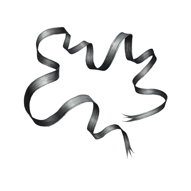 Free transparent PNG: Wavy Ribbon Curl  Decorative Clipart, free download png