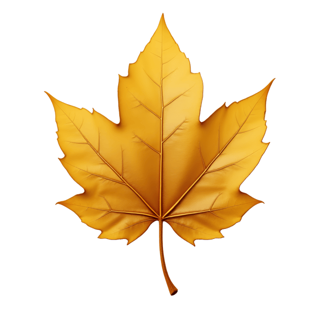 Free transparent PNG: Golden Dry Leaf Realistic Illustration with Polished Look