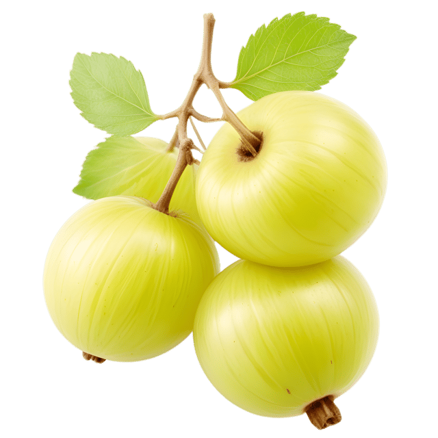 Free transparent PNG: Gooseberry PNG with Transparent Background for Art and Design