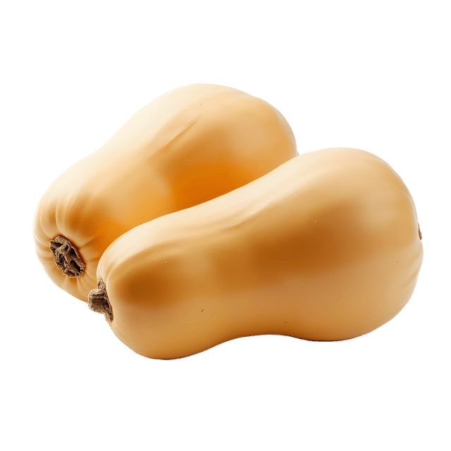 Free transparent PNG: Butternut Squash PNG Clipart  Perfect for Autumn Recipes  Crafts