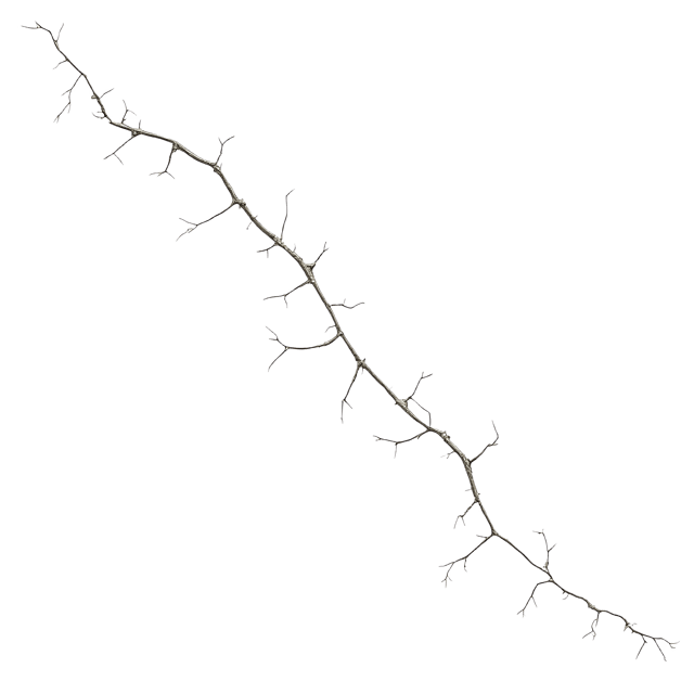 Free transparent PNG: Broken Line Border  Free PNG Download