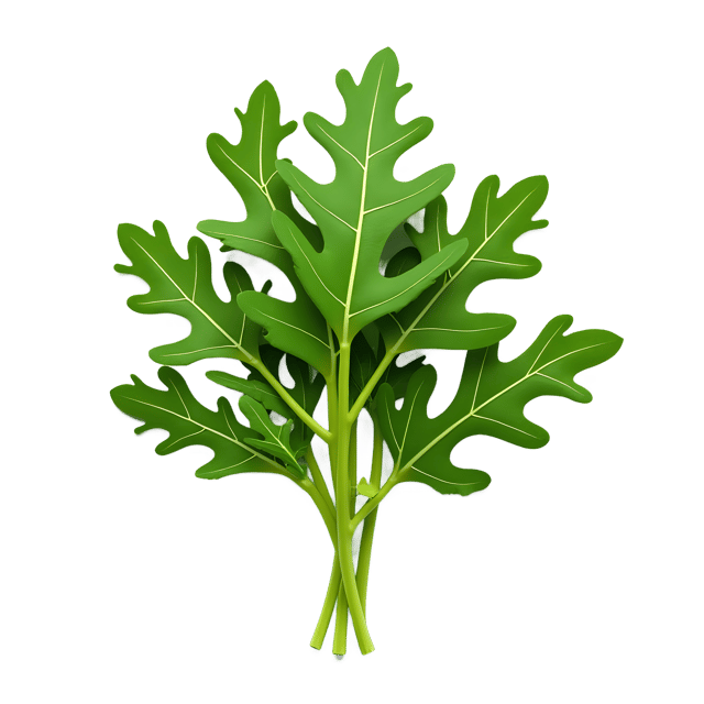 Free transparent PNG: Arugula PNG Clipart  Perfect for Healthy Recipes  Gardening