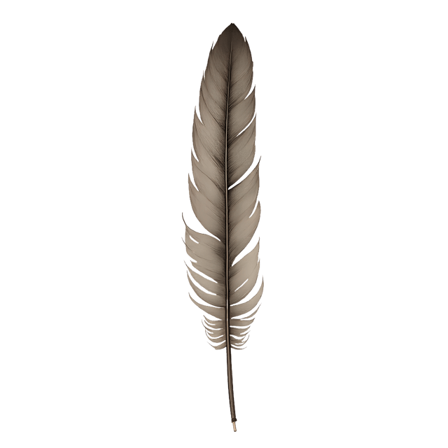 Free transparent PNG: Long Quill Feather in Wooden Case  Art Clipart, free transparent png download