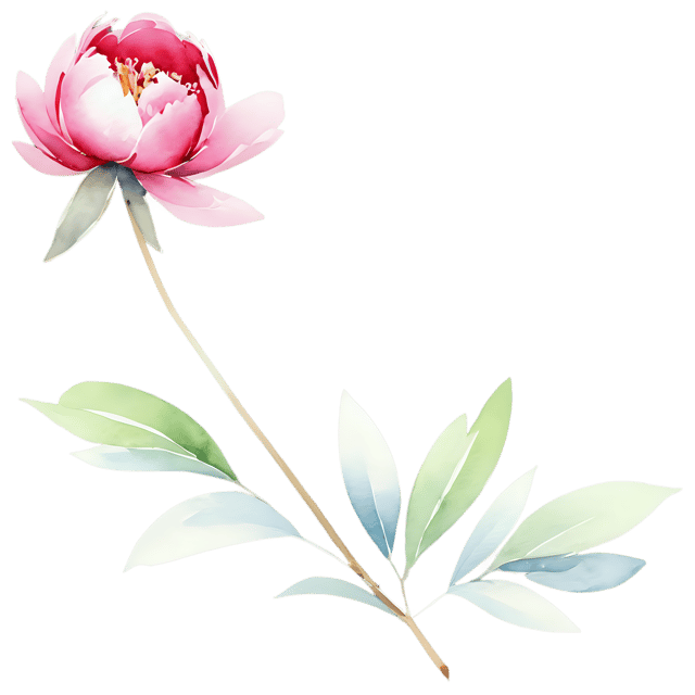 Free transparent PNG: Watercolor Peony Cluster Transparent PNG – Gentle Illustration for Design