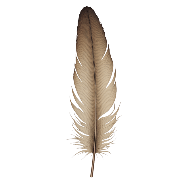 Free transparent PNG: Hollow Feather Tip  Free PNG Download for Art Projects