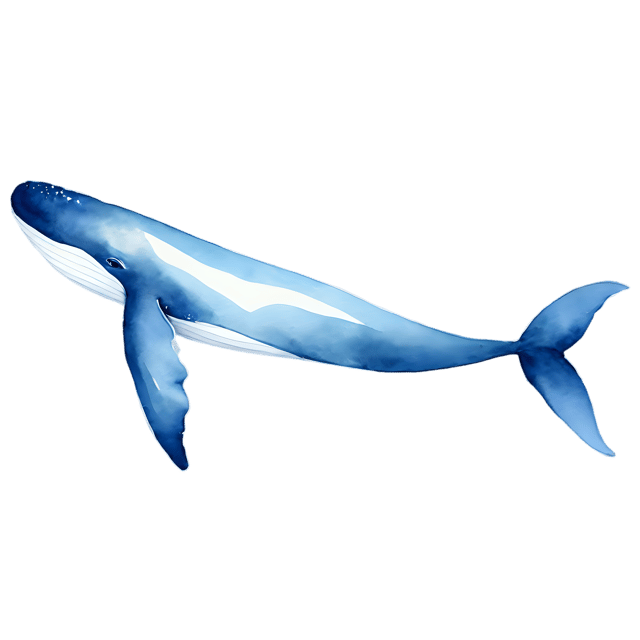 Free transparent PNG: Whale Tail Watercolor Illustration – Transparent PNG