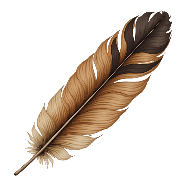Free transparent PNG: Owl Feather  Nature Clipart, free transparent png download