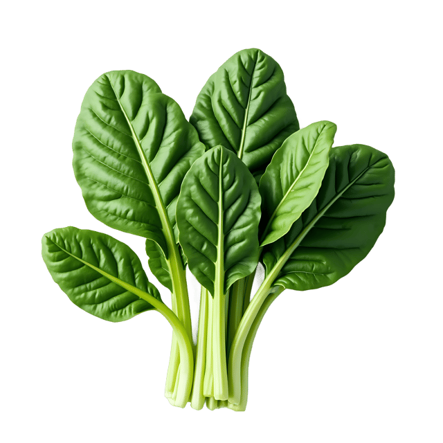 Free transparent PNG: Swiss Chard PNG Clipart  Perfect for Kitchen Design  Healthy Eating Themes