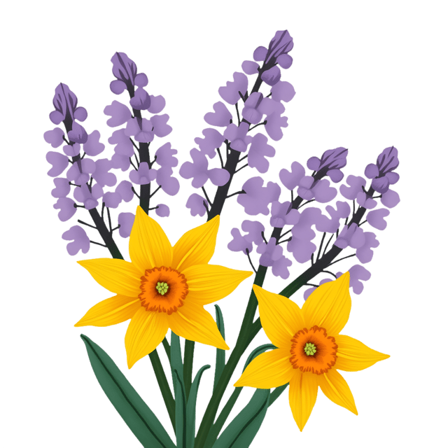 Free transparent PNG: Bright Yellow Daffodils with Soft Purple Hyacinths  Spring Garden Clipart, free download png