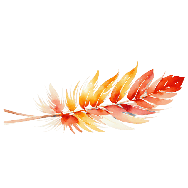 Free transparent PNG: Turkey Feather Watercolor Illustration – Transparent PNG for Crafts & Design