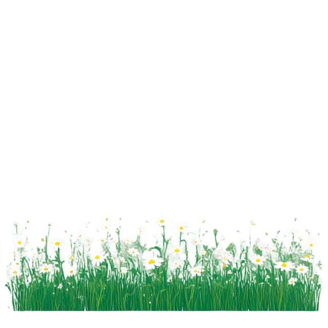 Free transparent PNG: Green Field with Wildflowers PNG Transparency Background