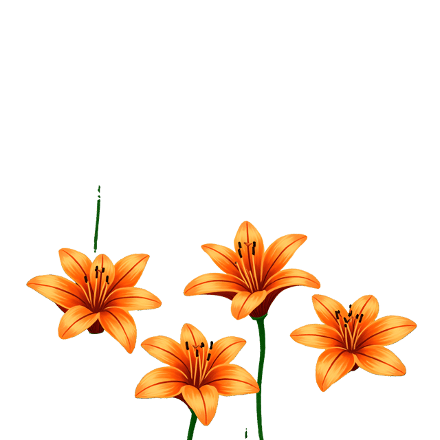 Free transparent PNG: Lush Green Ferns and Vibrant Orange Tiger Lilies Cartoon Illustration