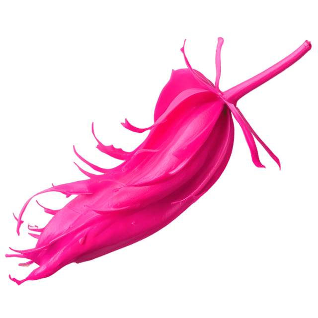 Free transparent PNG: Fuchsia Color Splash Transparent PNG Background