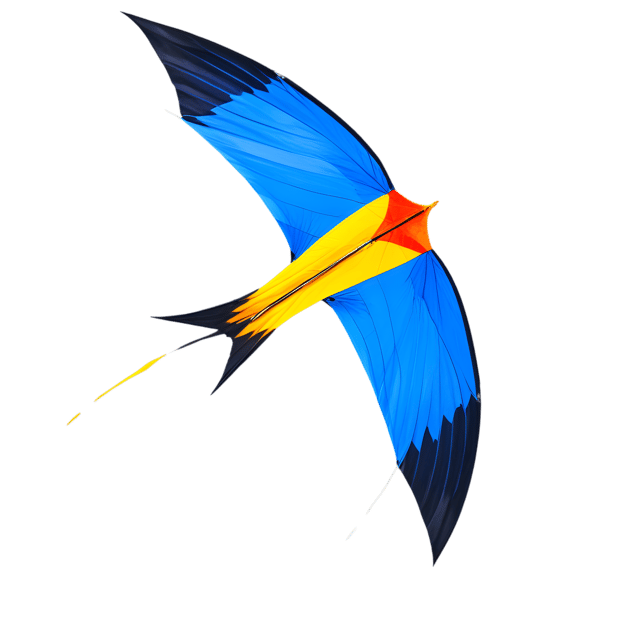 Free transparent PNG: Kite Bird Transparent PNG for Art and Design Projects