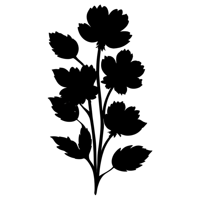 Free transparent PNG: Floral Wall Art PNG with Transparent Background for Creative Design