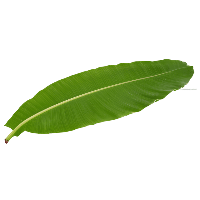 Free transparent PNG: Transparent Banana Leaf PNG for Visual Design and Decorative Use