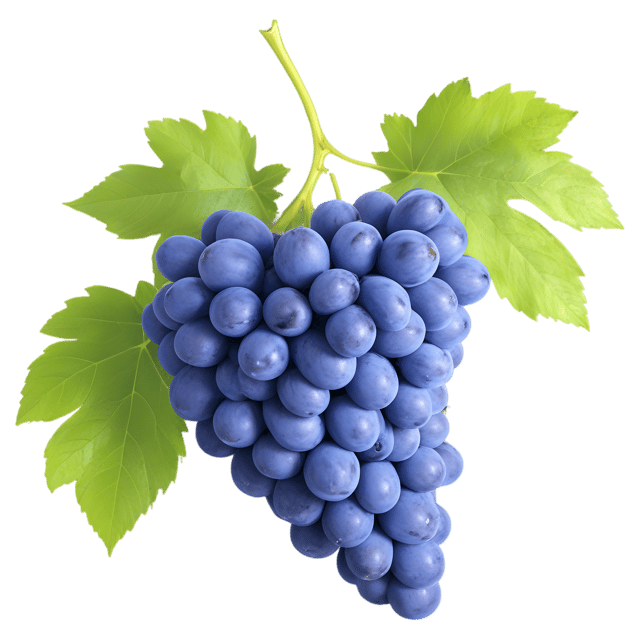 Free transparent PNG: Transparent Background Grape PNG for Artistic and Creative Projects