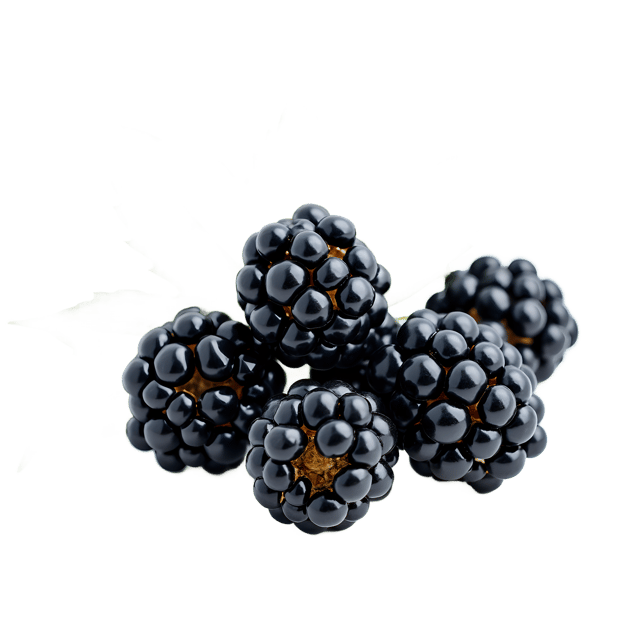 Free transparent PNG: Blackberry PNG Clipart  Perfect for Desserts, Crafts  Education