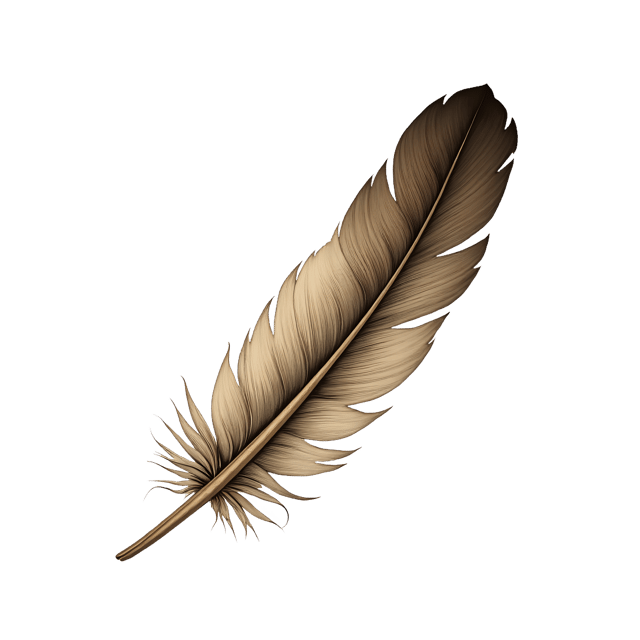 Free transparent PNG: Single Feather Falling  Nature Clipart, free transparent png download