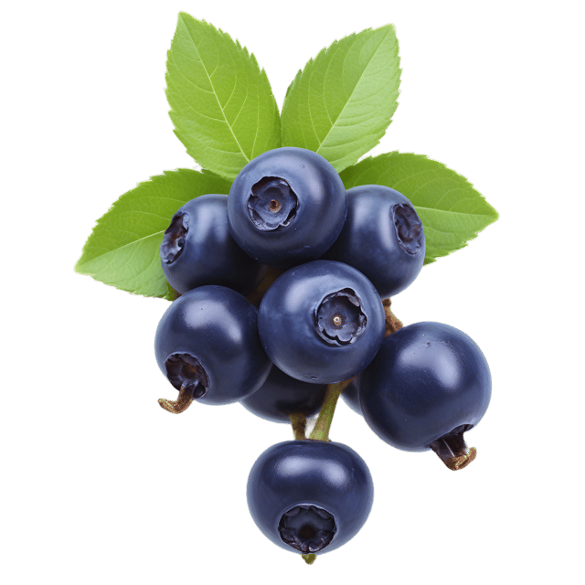 Free transparent PNG: Huckleberry PNG with Transparent Background for Clipart and Crafts