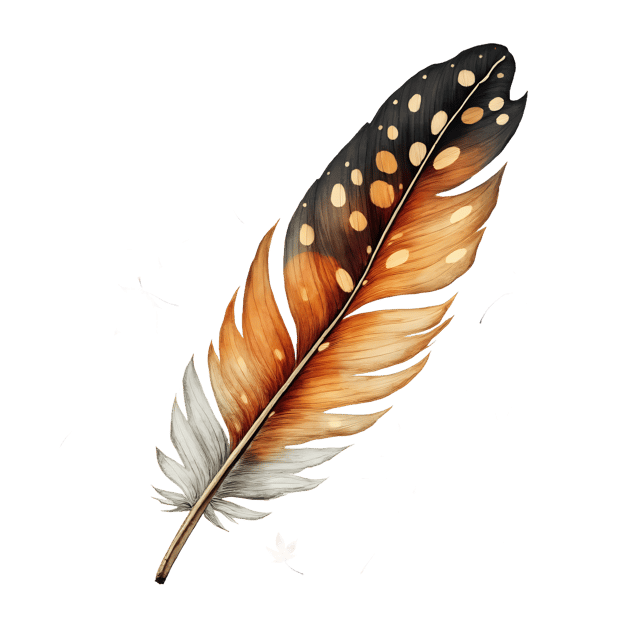 Free transparent PNG: Speckled Wing Feather  Autumn Leaf Clipart, free download png