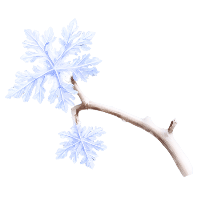 Free transparent PNG: Tiny Snowflake on Winter Branch Transparent PNG for Winter Themes and Decorations